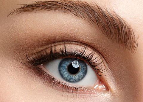Creekside Vision Eye Care